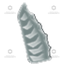 Fervid Grip